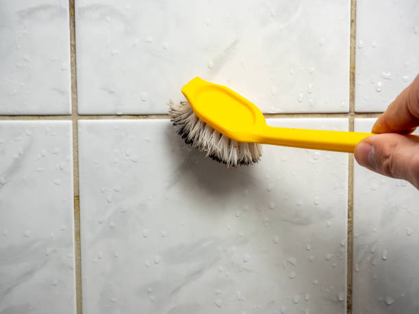 Best Local Mold Removal Service  in Lakeview, OR