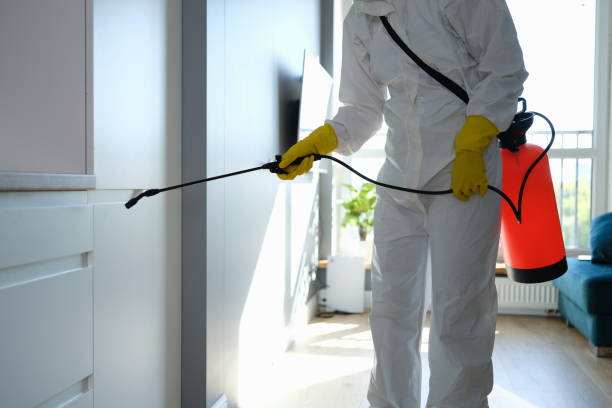 Best Professional Mold Removal  in Lakeview, OR