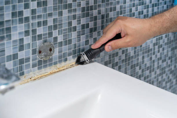 Trusted Lakeview, OR Mold Removal Experts