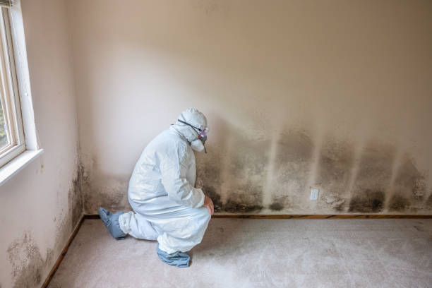 Best Mold Testing  in Lakeview, OR