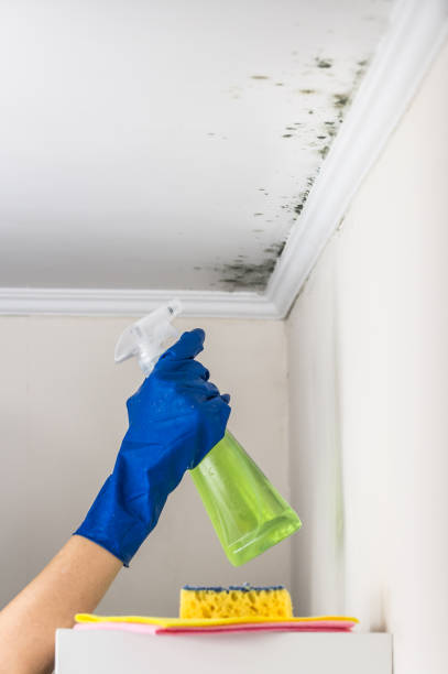 Best Emergency Mold Removal  in Lakeview, OR