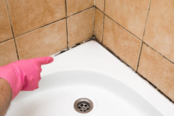 Best Residential Mold Removal  in Lakeview, OR